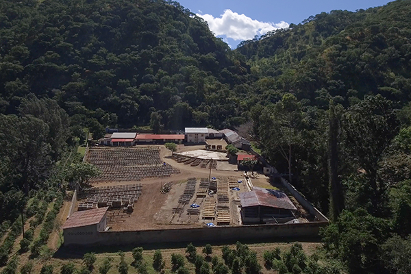 Songwa estates farm overhead view